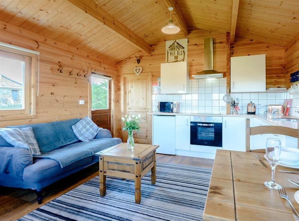 Open plan living space (photo 2) at Buttercup Lodge in Morpeth, Northumberland