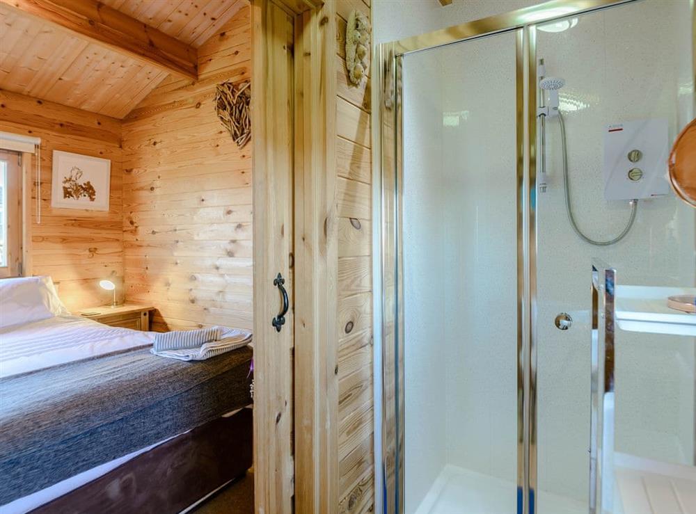 Shower room at Buttercup Lodge in Morpeth, Northumberland