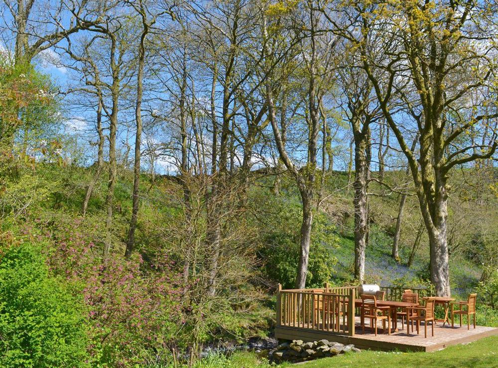 Delightful shared decking area with surrounding woodland at Butterfly Cottage in Kendal, Cumbria