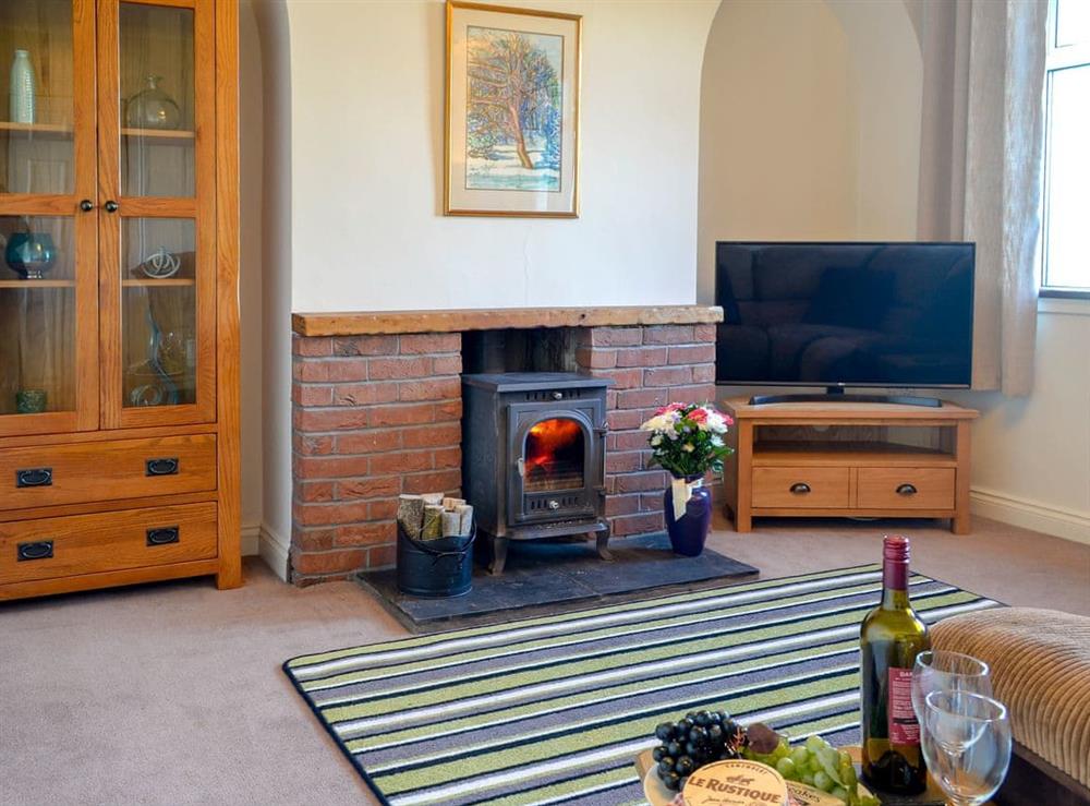 Cosy living room with wood burner at Butterhole Cottage in Mabie, near Dumfries, Dumfriesshire