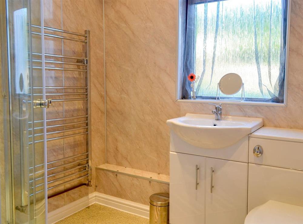 Shower room at Butterhole Cottage in Mabie, near Dumfries, Dumfriesshire
