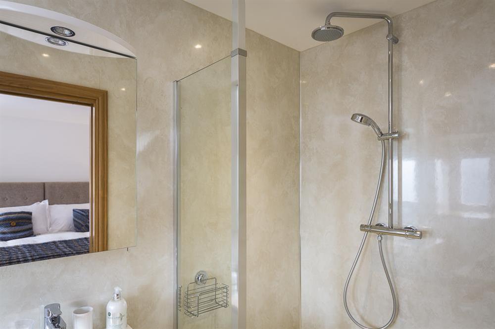 En suite with a large walk-in shower (photo 3) at Butterwell Barn in , Nr Dartmouth