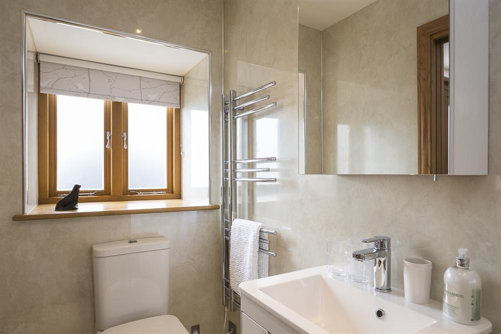 En suite with a large walk-in shower (photo 4) at Butterwell Barn in , Nr Dartmouth