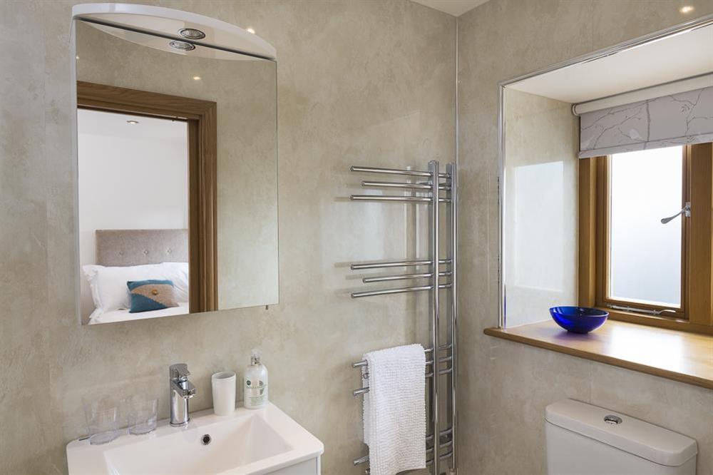 En suite with a large walk-in shower at Butterwell Barn in , Nr Dartmouth
