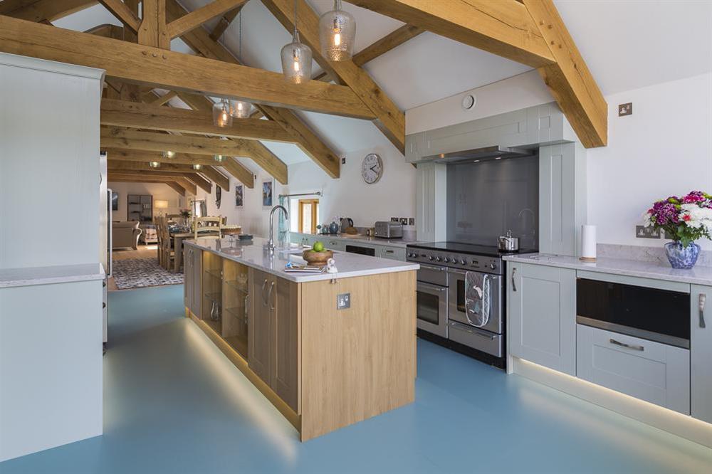 Fabulous open plan kitchen equipped with a Toledo range cooker at Butterwell Barn in , Nr Dartmouth