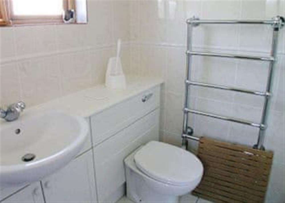 Shower room at Buzzard Barn in St Martin, Nr Helston, Cornwall., Great Britain