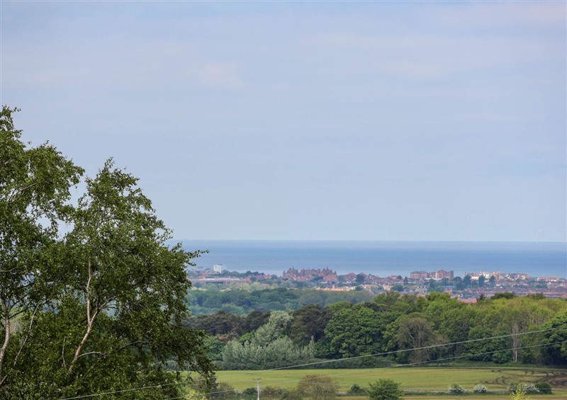 In the area at Buzzards View, Dyserth