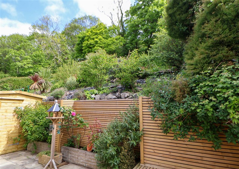 The garden at Buzzards View, Dyserth