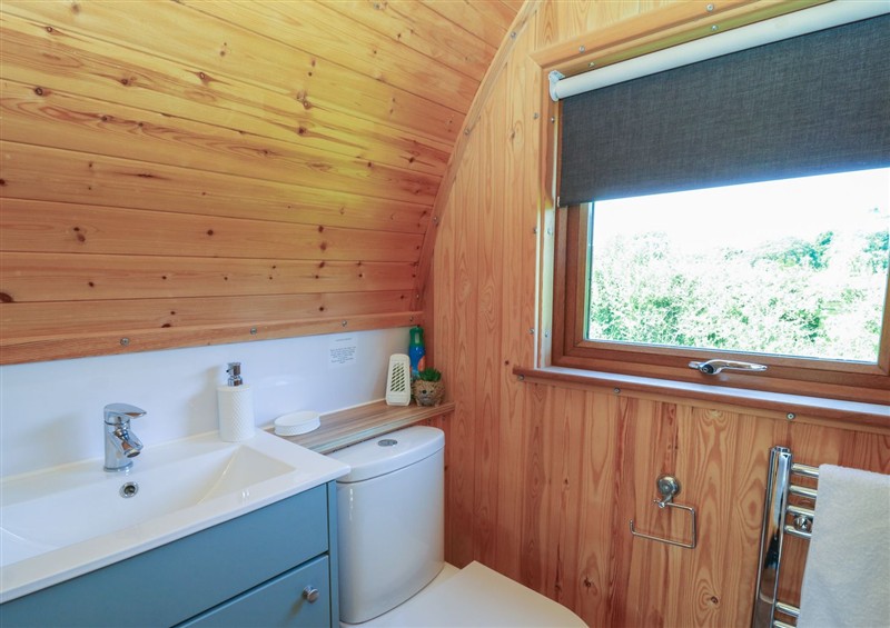 Bathroom at Bwthyn Bach Brefi, Llanddewi-Brefi