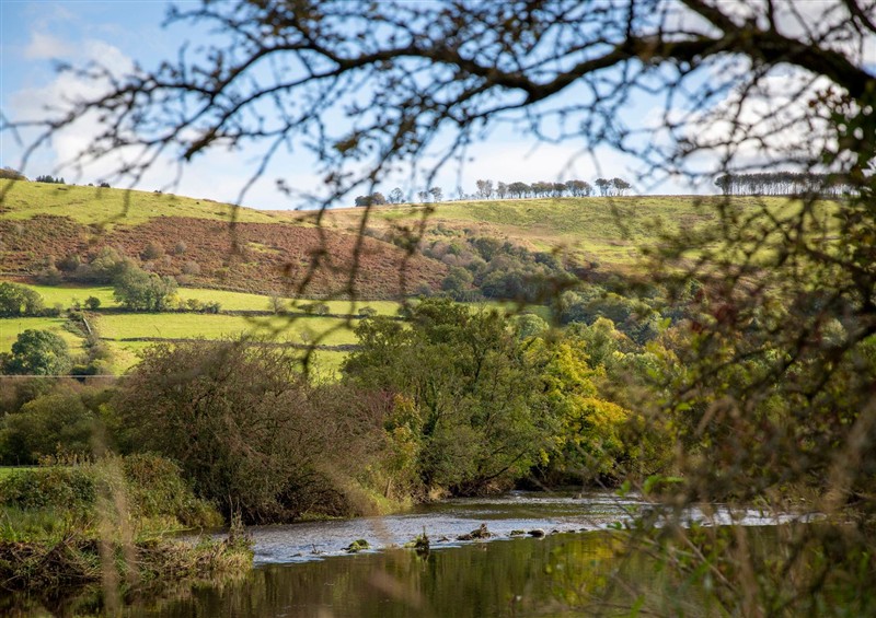 The area around Bwthyn Bach Brefi (photo 3) at Bwthyn Bach Brefi, Llanddewi-Brefi