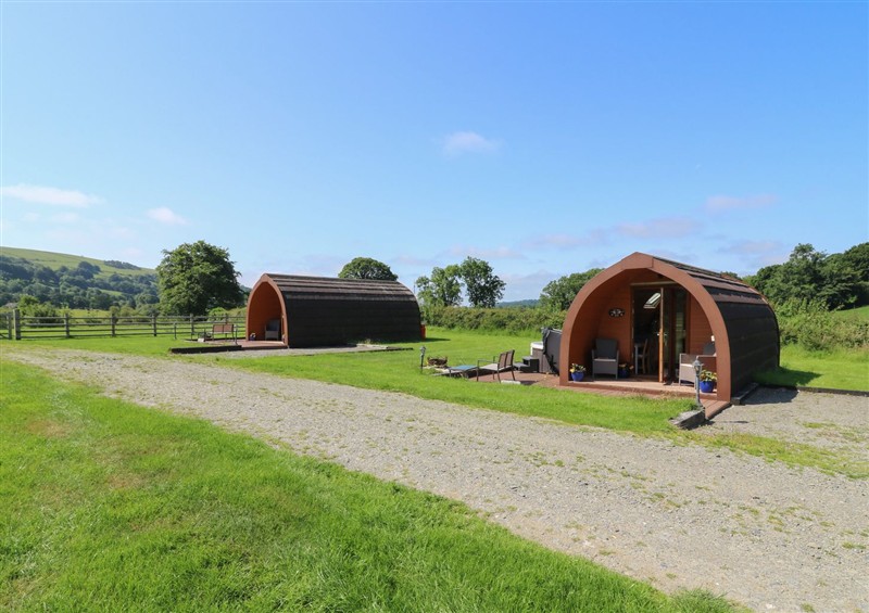 The garden at Bwthyn Bach Brefi, Llanddewi-Brefi