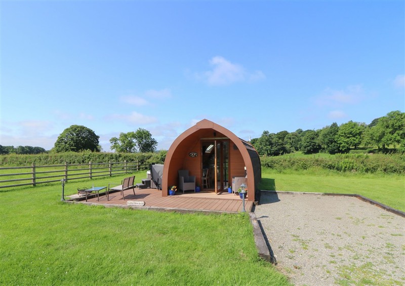 This is the garden at Bwthyn Bach Brefi, Llanddewi-Brefi