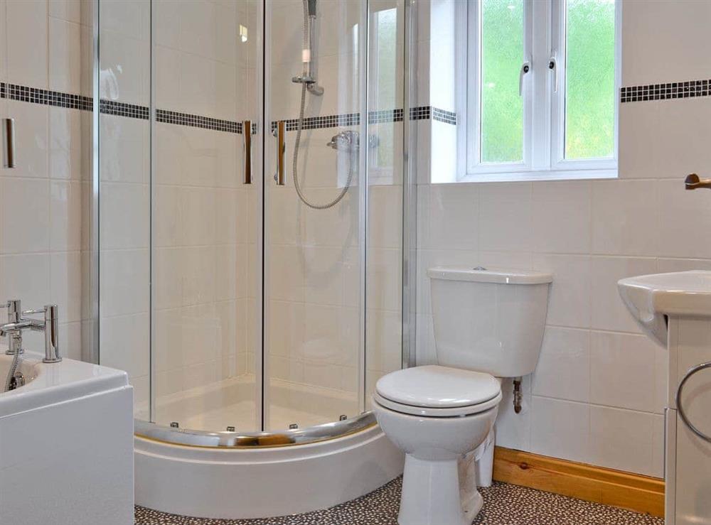 Shower room at Bwthyn Bwlch in Prion, near Denbigh, Denbighshire