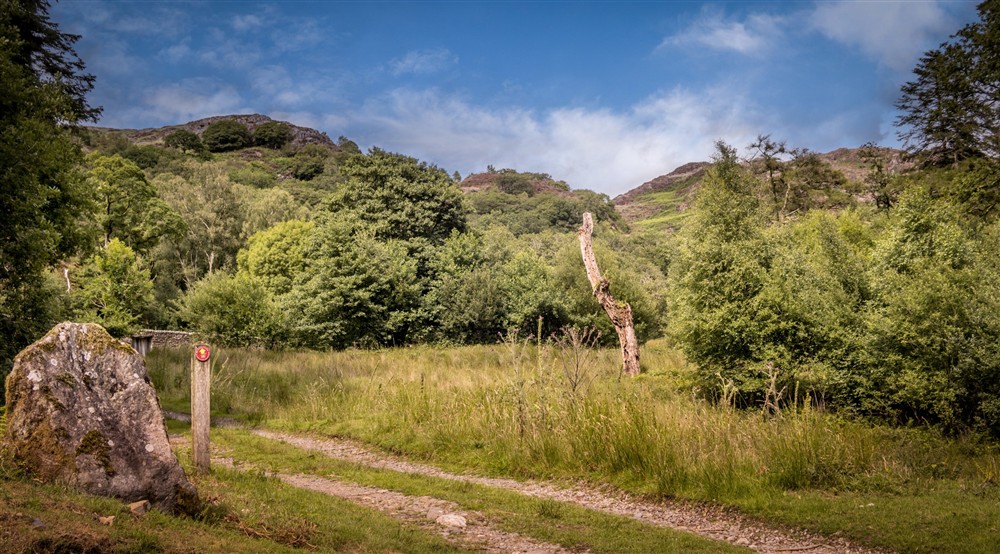 The area surrounding Bwthyn Mai, Gwynedd at Bwthyn Mai in Beddgelert, Gwynedd