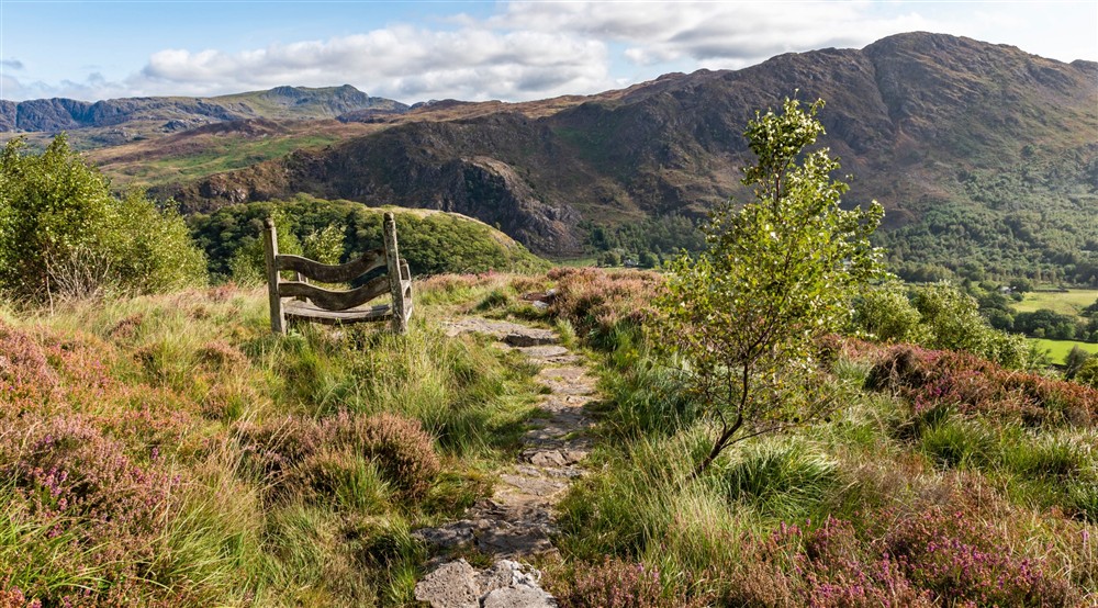 The area surrounding Craflwyn Hall, Gwynedd at Bwthyn Mai in Beddgelert, Gwynedd