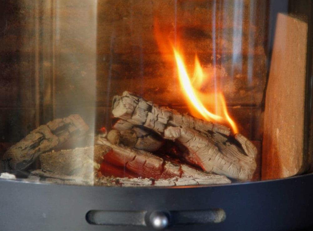Woodburning stove at Bwthyn Onnen in Ystrad Meurig, Ceredigion., Dyfed