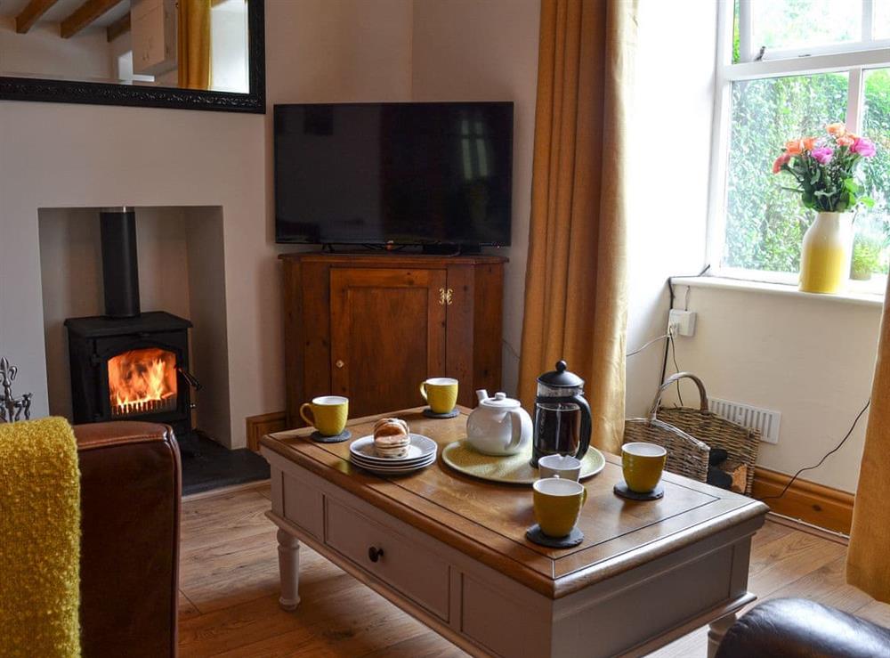 Cosy living room with wood burner at Bwthyn Pabi in Penmachno, near Betws-Y-Coed, Gwynedd