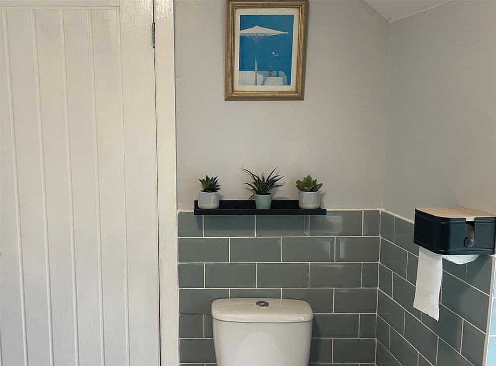 Bathroom at Bwthyn Rhosyn Bach in Henllan, Denbighshire