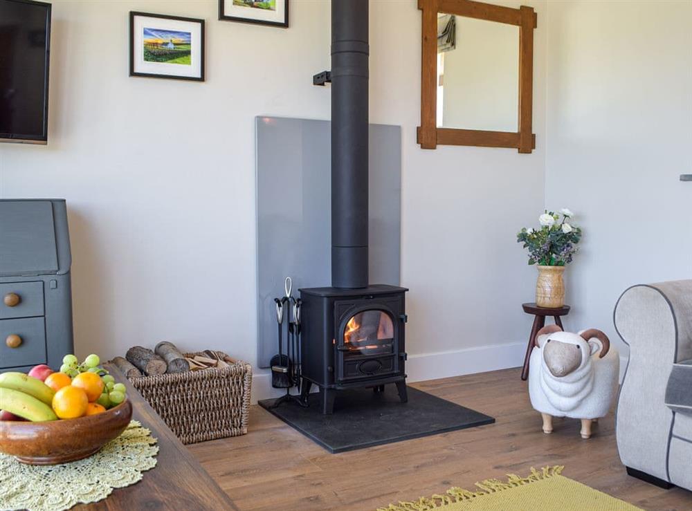 Living room with wood burner (photo 2) at Bwthyn Y Bugail in Abercych, near Newcastle Emyln, Dyfed