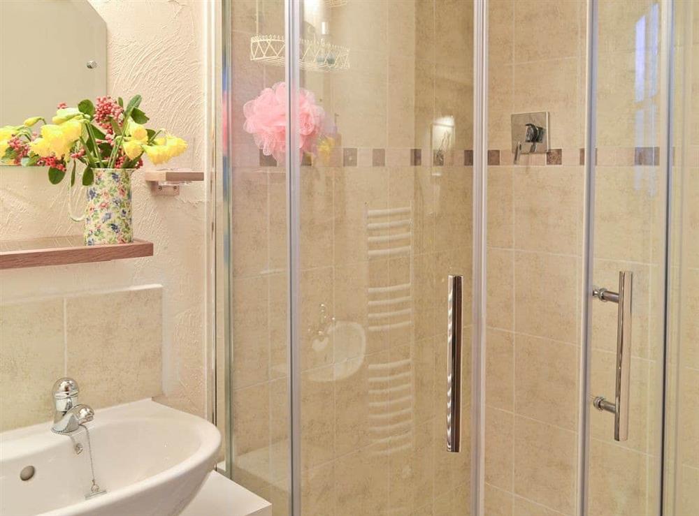 Shower room at Byre Cottage II, 