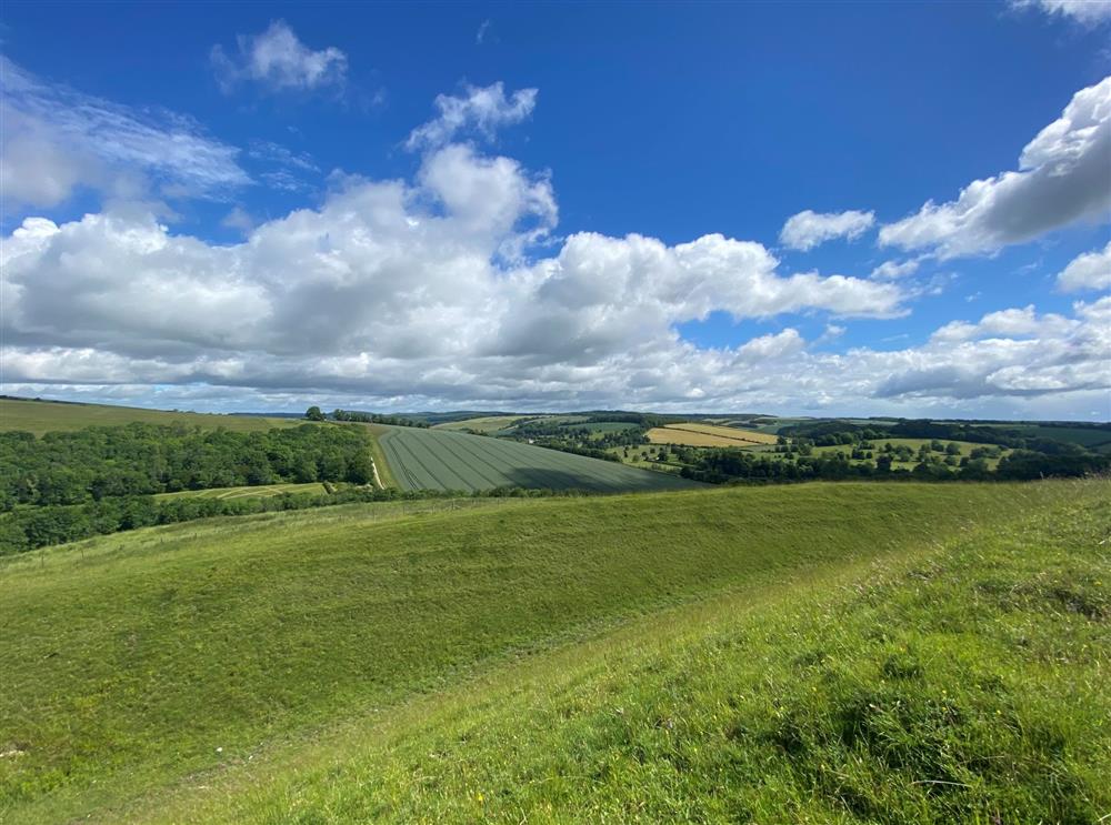 Nearby Hambledon Hill, a wonderful place to walk and admire the views at Byre House, Blandford