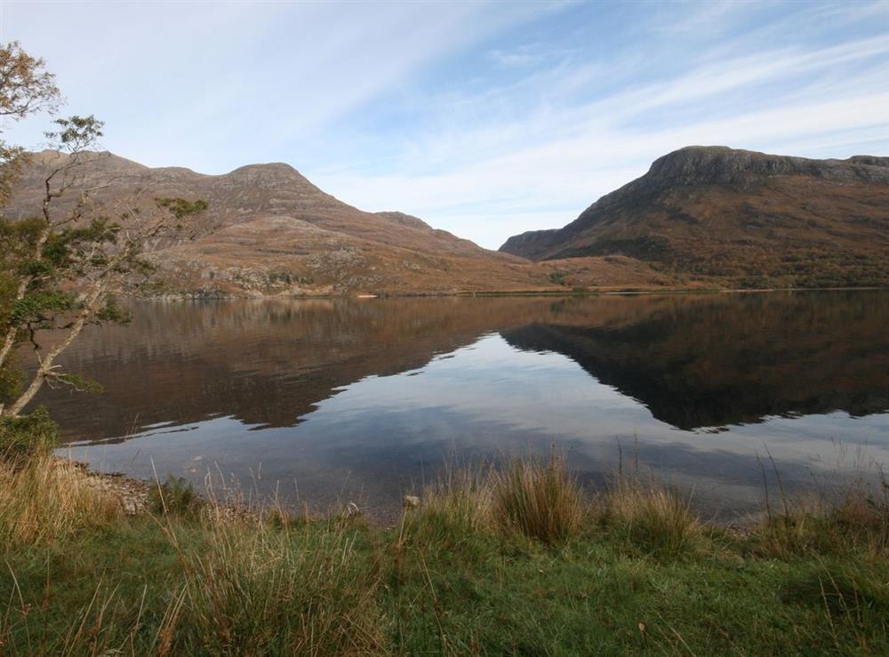 A photo of Caberfeidh