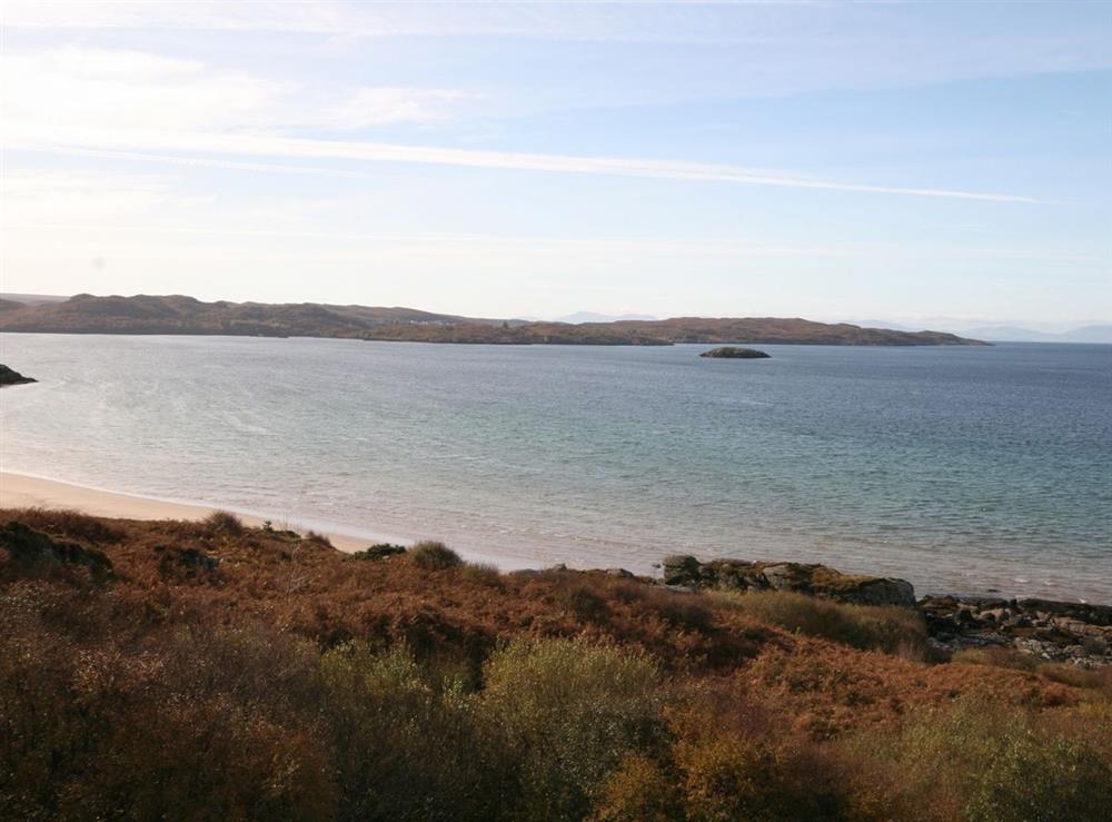 A photo of Caberfeidh