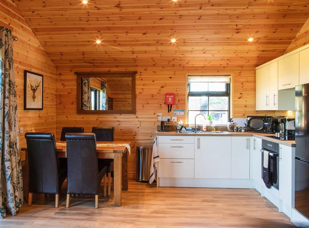 Open plan living space at Cabin Hideaways, Glenfyne, 