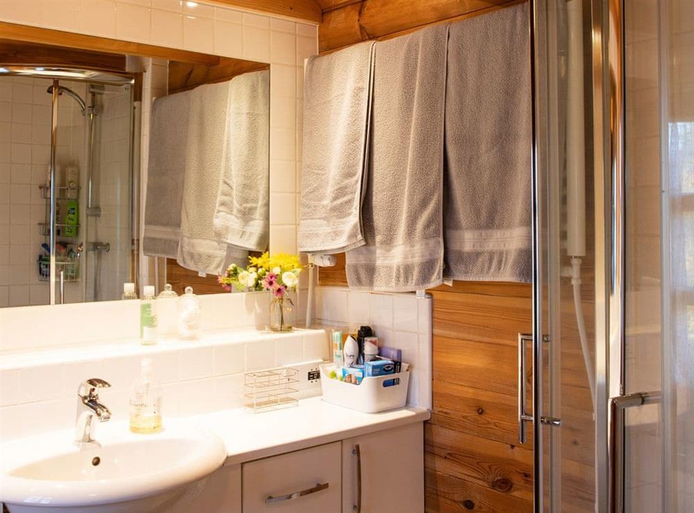 Shower room (photo 3) at Cabin Hideaways, Glengoyne, 