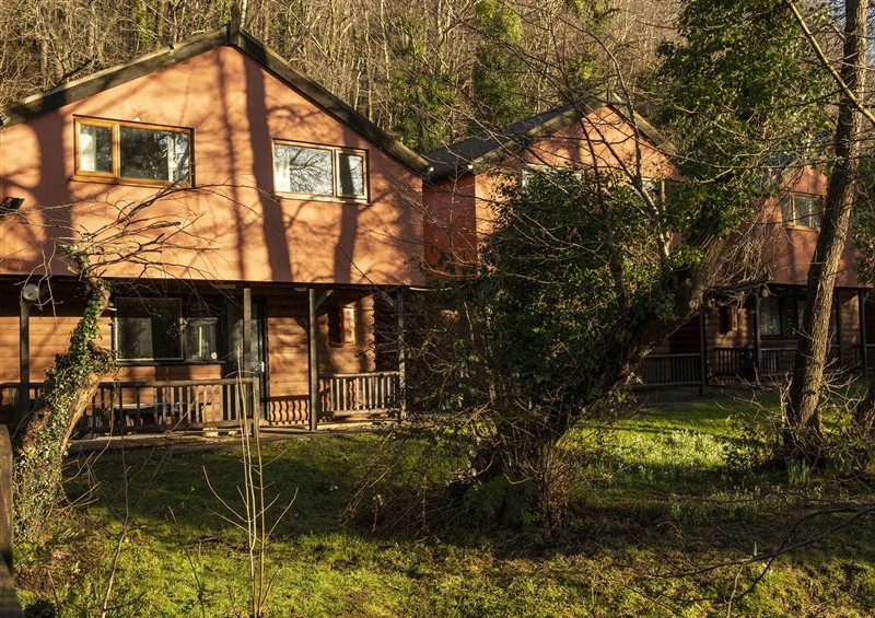 Outside at Cabin No. 11, Goytre near Port Talbot