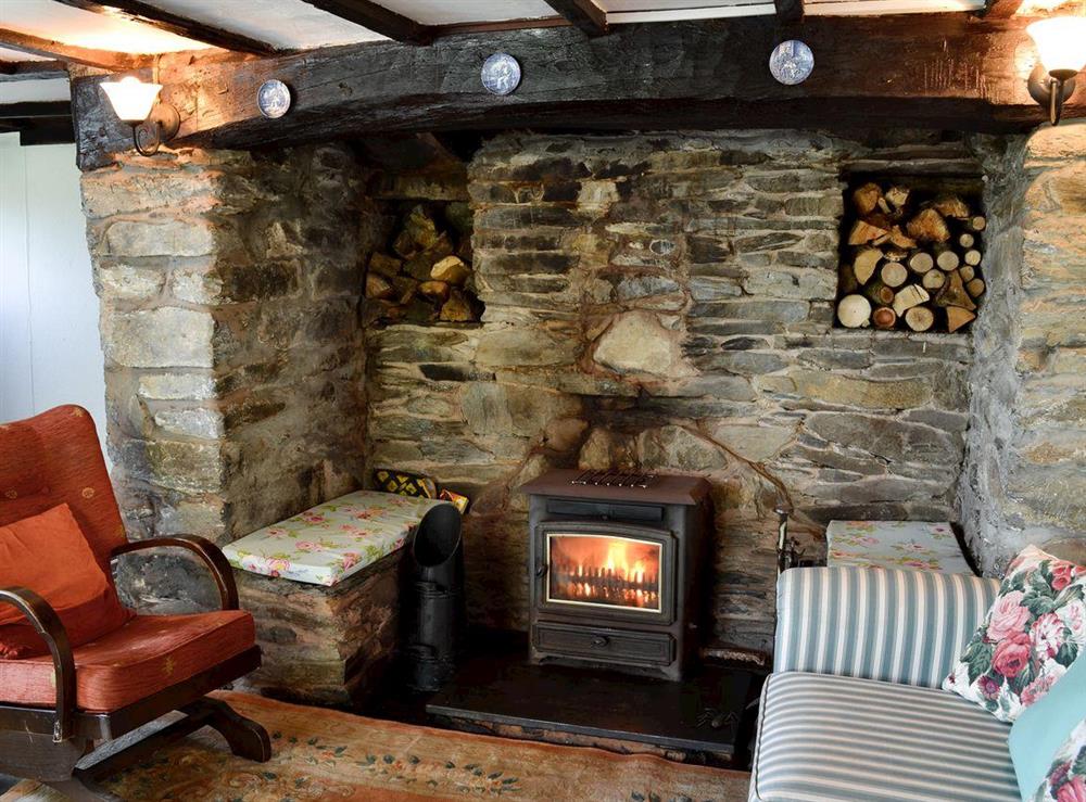 Living room with wood burning stove (photo 2) at Cae Cynddelw in Llandderfel near Bala, Gwynedd