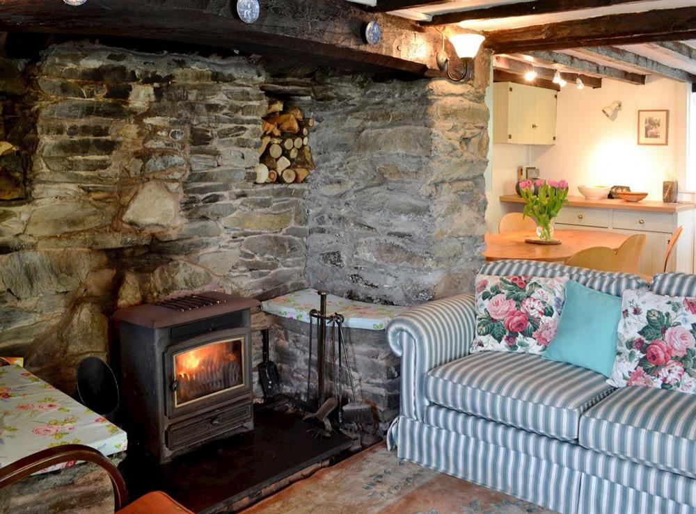 Living room with wood burning stove at Cae Cynddelw in Llandderfel near Bala, Gwynedd