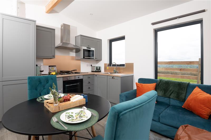 Enjoy the living room at Cae Dafadd, New Mills near Llanfair Caereinion