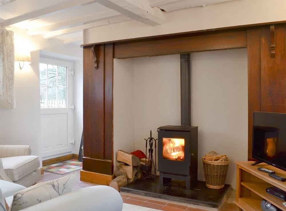 Warm, cosy living room with wood burner at Caeberllan in Llanfair Caereinion, Powys