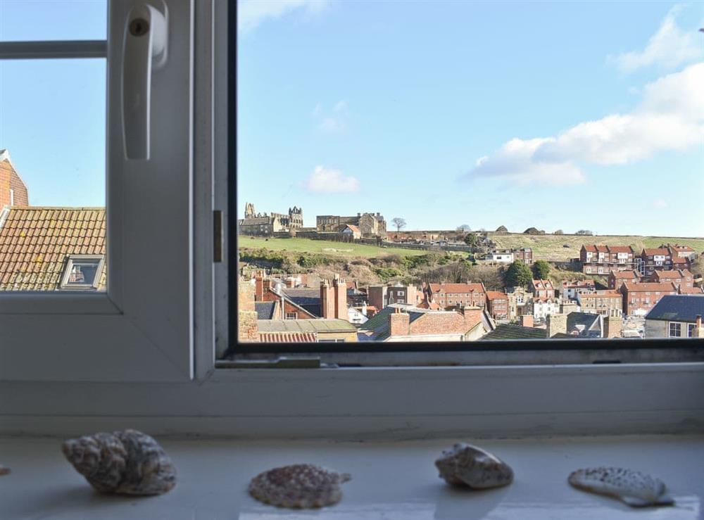 View at Caedmons Dream in Whitby, Yorkshire, North Yorkshire