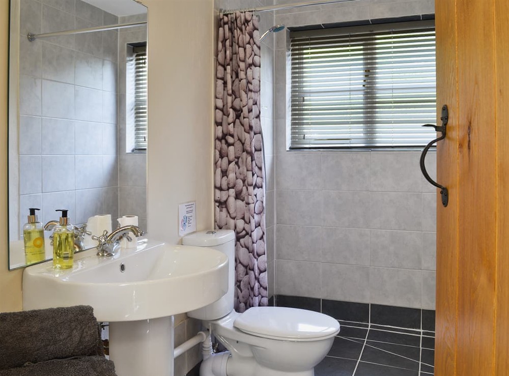 Bathroom (photo 3) at Caeley Barn in Penybont, near Llandrindod Wells, Powys