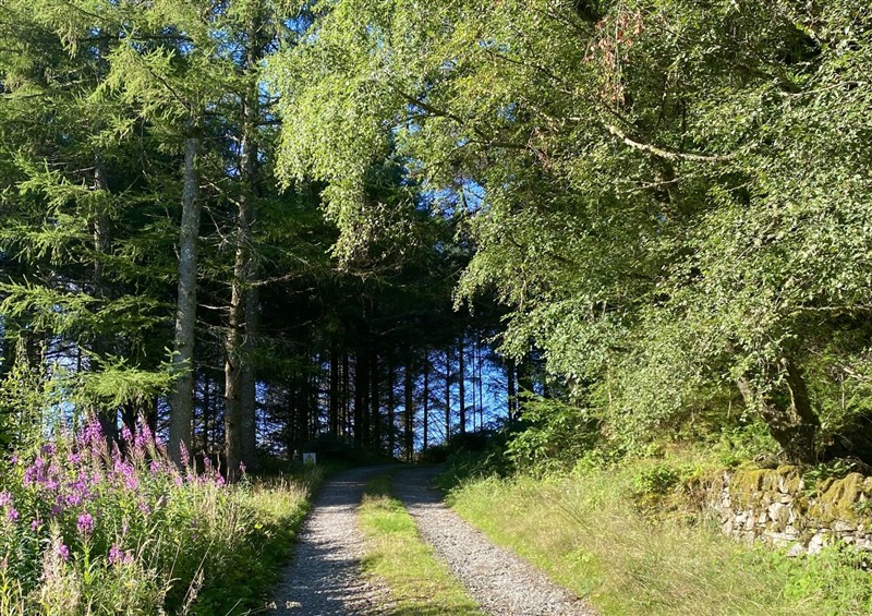 The setting (photo 3) at Caen Y Coed Cottage, Penrhyndeudraeth