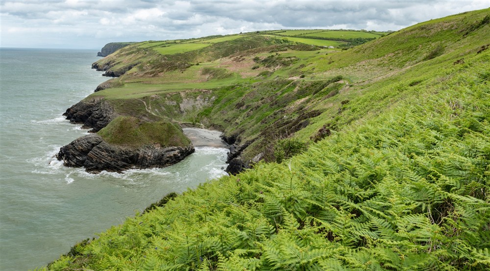 Iron Age hillfort on Coast Path at Caerllan in Llandysul, Ceredigion