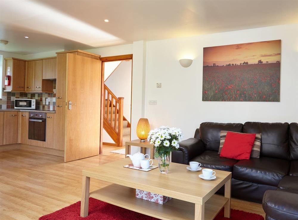 Open plan living space at Badgers Oak, 