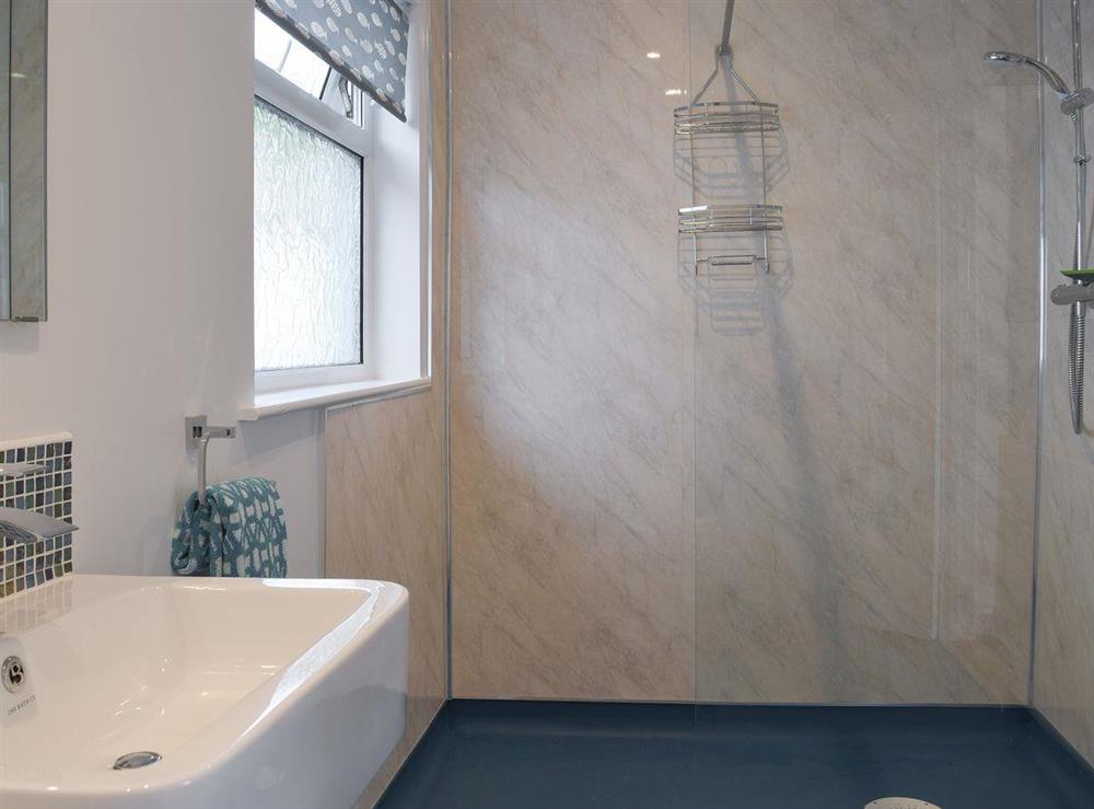 Shower room at Caldey View in Near Stepaside, Saundersfoot, Pembrokeshire, Dyfed