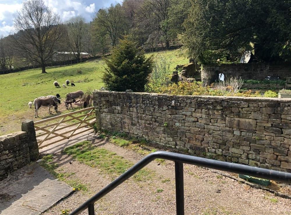 View from top of steps at Calf Close Barn in Ashover, Derbyshire