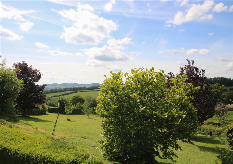Enjoy the garden (photo 2) at Callow Cottage, Craven Arms