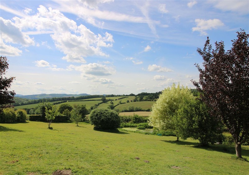 Enjoy the garden at Callow Cottage, Craven Arms
