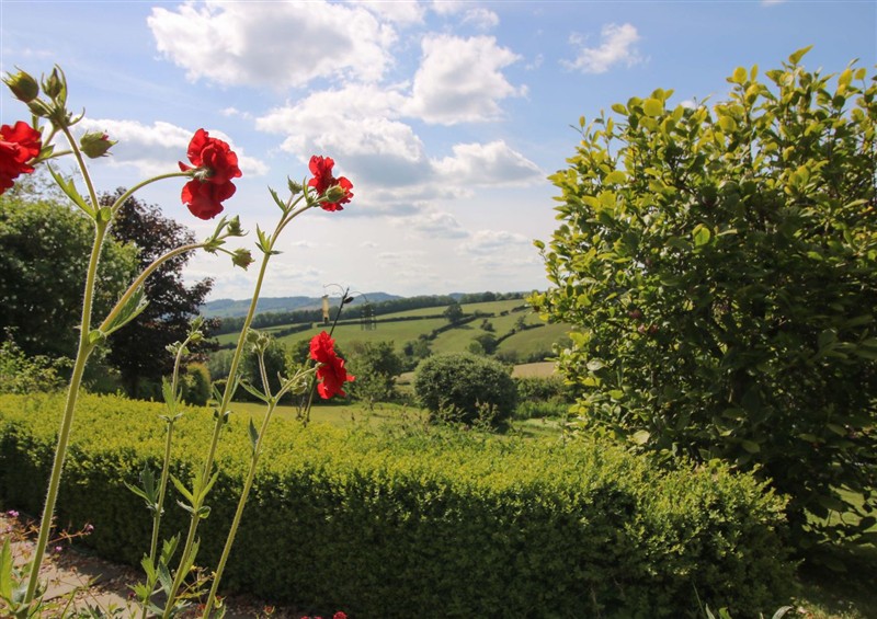 Outside at Callow Cottage, Craven Arms