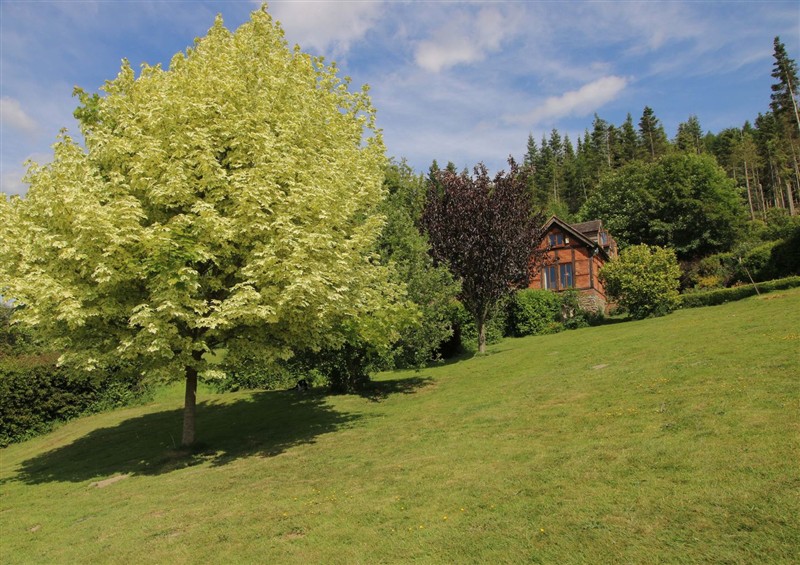The garden in Callow Cottage at Callow Cottage, Craven Arms