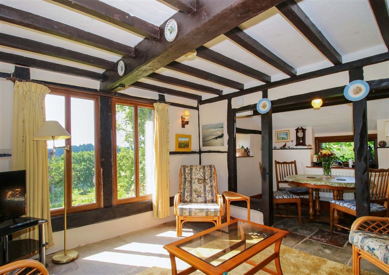 The living room at Callow Cottage, Craven Arms