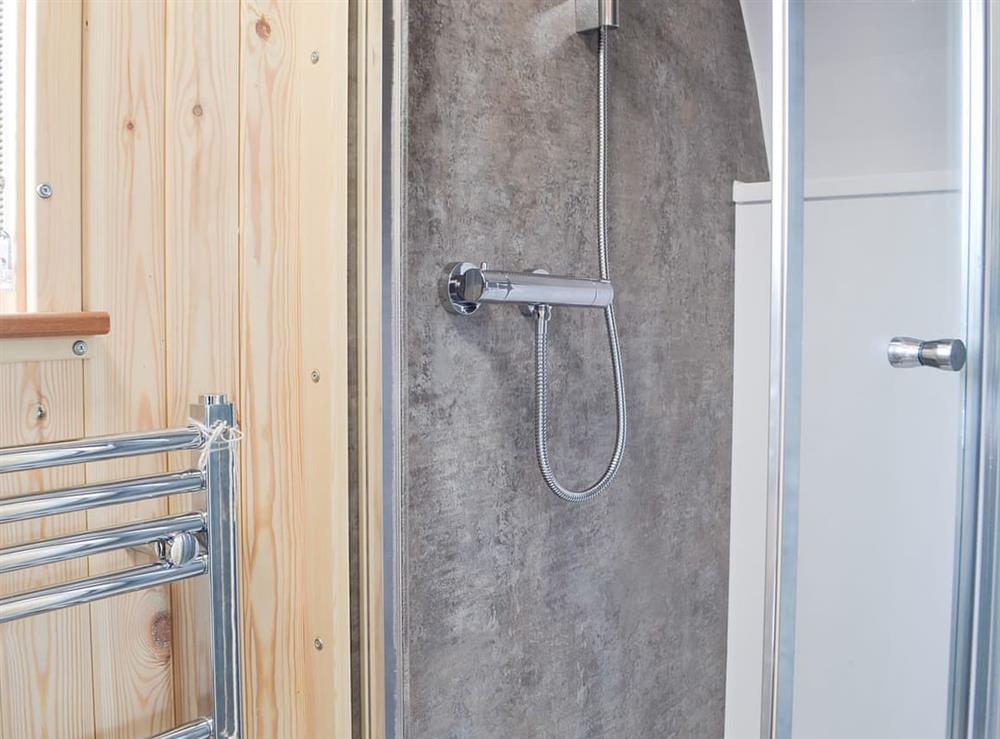 Shower room at Bwthyn Bach Brefi, 