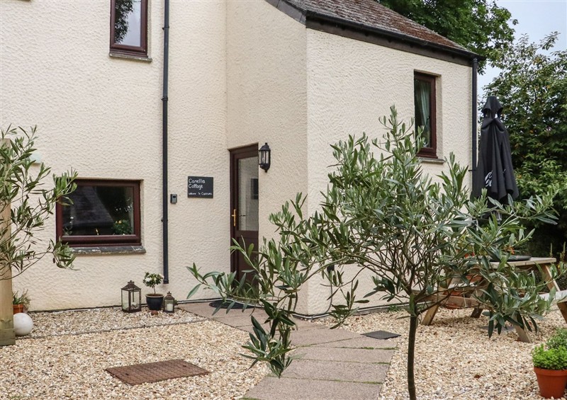 The garden in Camellia Cottage at Camellia Cottage, Lanlivery