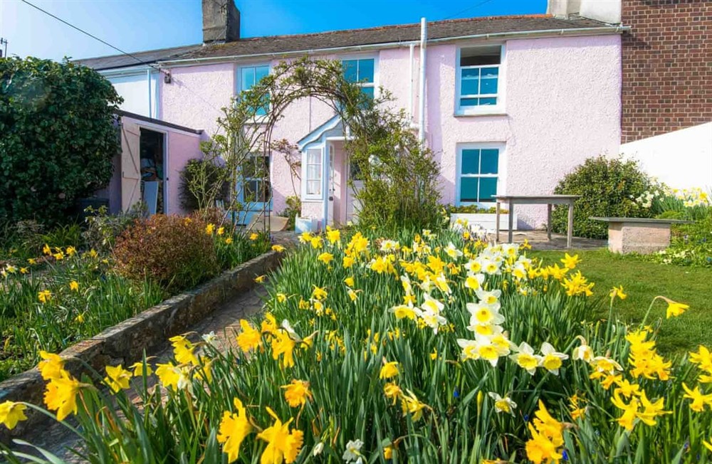 Garden and grounds (photo 2) at Camellia Cottage in St Mawes, Cornwall
