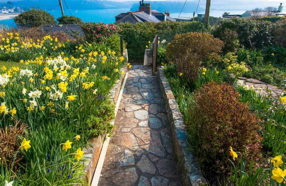 Garden and grounds (photo 3) at Camellia Cottage in St Mawes, Cornwall